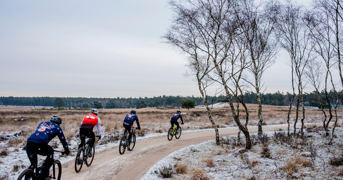 Gravelty Lumberjack start vanuit Doorn: uitdagend parcours voor fietsers