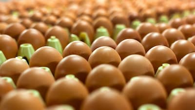 Met salmonella besmette eieren ook verkocht in Nederland: check hier of je ze in huis hebt
