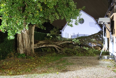 LIVE storm | ADE legt festival anderhalf uur eerder stil door storm Boelo, ook zware windstoten langs de kust