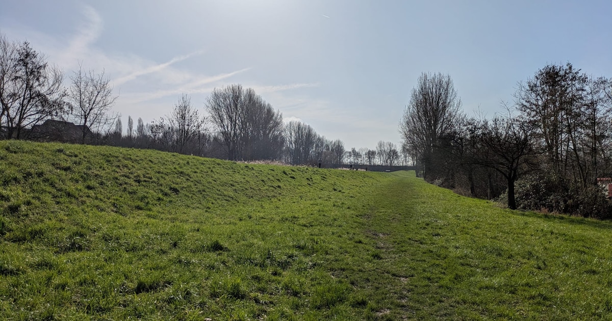 Provincie Utrecht stelt geld beschikbaar voor bestaand en nieuw groen ...