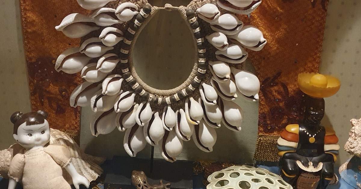 Wunderkammer in Arnhemse galerie-etalage bundelt vijf particuliere verzamelingen