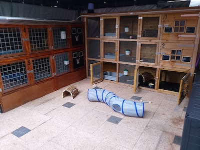 Konijnenpension geopend in Duiven