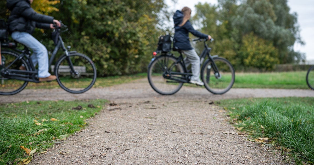 Staalslakken verwerkt in Lingewaardse paden: ‘De aannemer wist het ook niet’