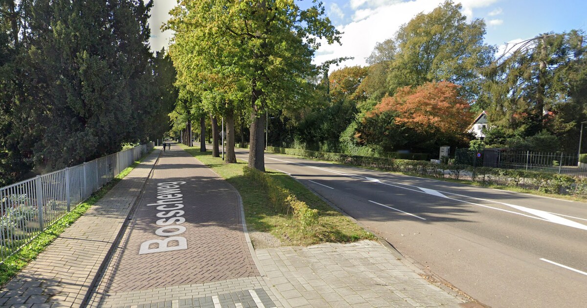 Tilburger (37) die bewust tegen jonge fietsster aanreed, krijgt celstraf en behandeling in kliniek