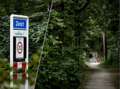Ernstig seksueel geweld leidt tot zorgen in Zeist: zo wapen je je tegen een belager