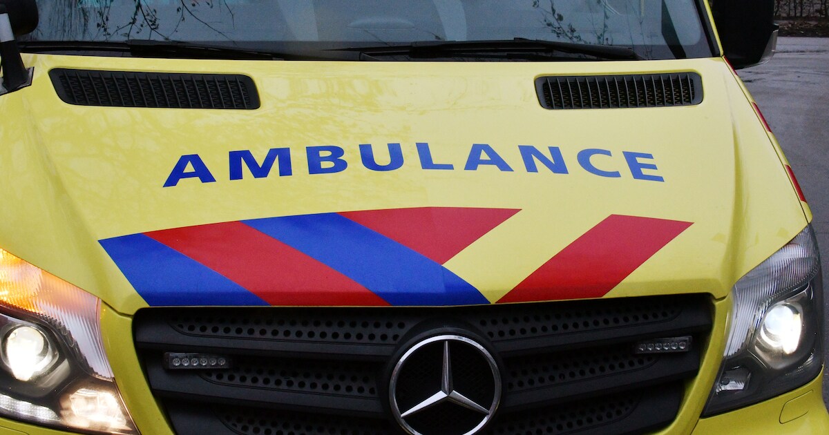 Automobilist (30) hangt werkstraf boven het hoofd voor aanrijding met fietser op dijk in Poederoijen