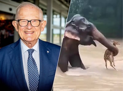 Pieter van Vollenhoven onbewust ‘superverspreider’ van nepvideo’s: ‘Ik voel mij belazerd’