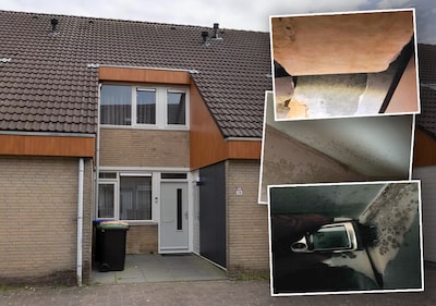 Moeder wil verhuizen vanwege schimmels in huis, verhuurder ziet dat anders