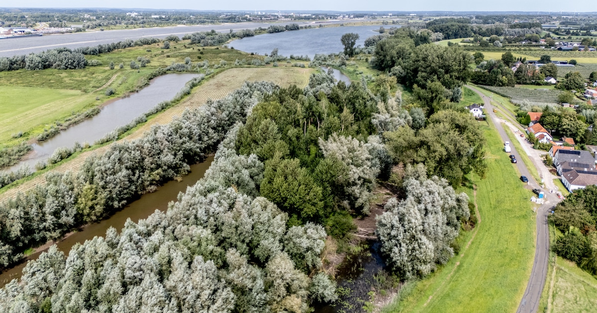 Nieuwe natuur bij Wamel en Dreumel? ‘Vonkerplas wordt er niet beter van ...