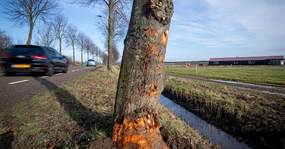Op weg waar jonge man (25) omkwam, lijkt het haast nooit mis te gaan: ‘Maar het kan altijd gebeuren,