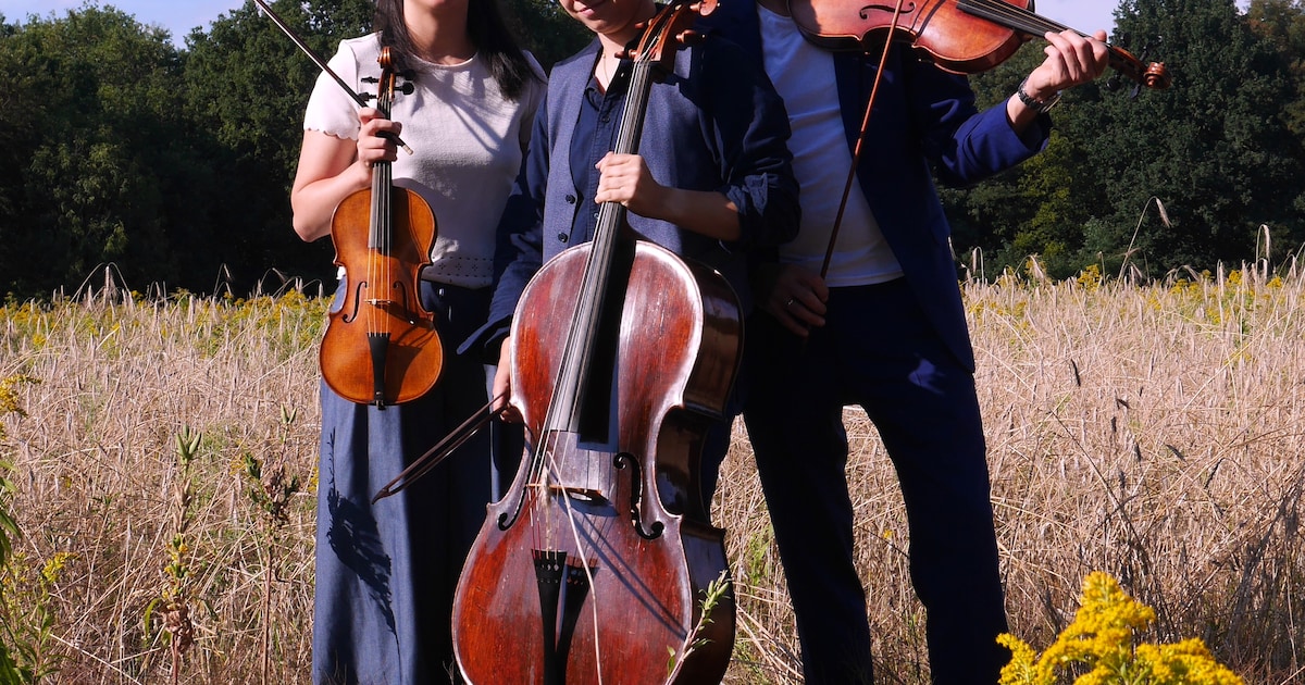 Stadsmuseum Rhenen houdt Henk Helmantel Arrangement met rondleiding en concert
