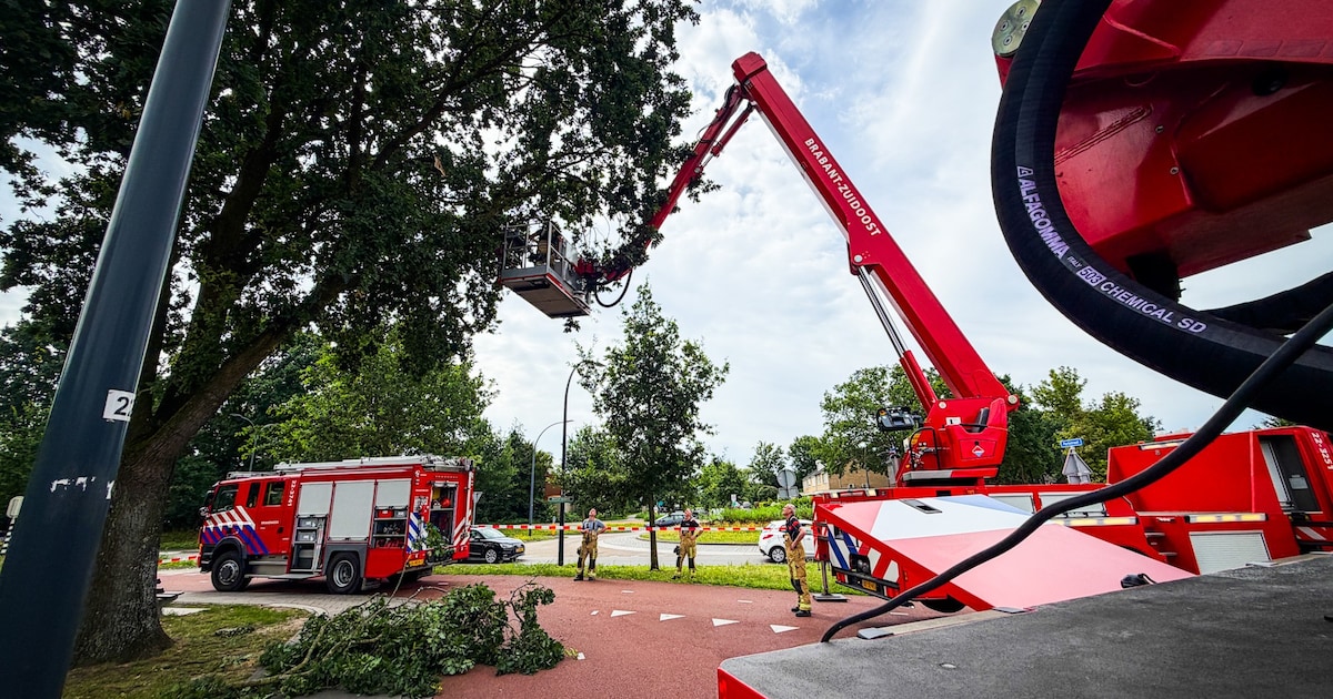 Tak bungelt boven fietspad door storm in Nuenen, twee hoogwerkers weigeren dienst als brandweer wil 