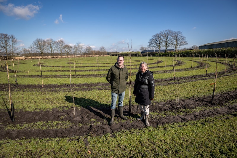 Reuselse broer en zus planten voedselbos met fruit en noten | Brabant ...