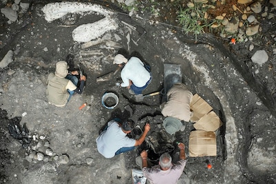 Tienduizenden jaren oude fossielen van mastodont en reuzenluiaard gevonden in Costa Rica