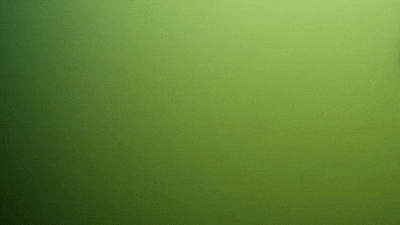 Ding dong! Wereldwijd razend populaire visdeurbel in Utrecht staat weer aan