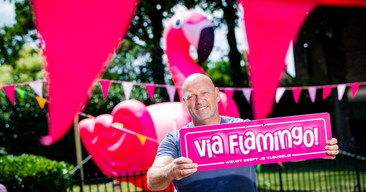 een-roze-vogel-van-5-meter-hoog-200-meter-aan-zelfgenaaide-vlaggetjes