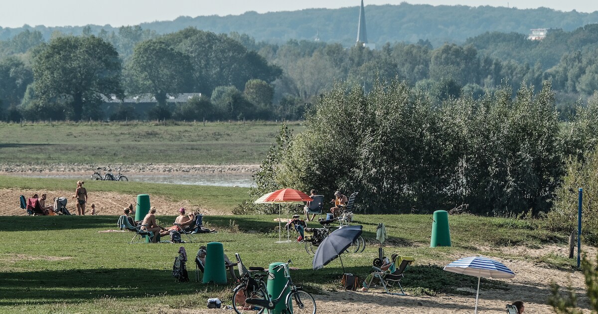 Naturisten balen van ‘kaalslag’ rond naaktstrand Rhederlaag: ‘Van alle kanten zijn we zichtbaar’