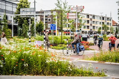 Raadsleden komen op voor vlinders en bijen; ‘Voortaan alleen nog gifvrije planten kopen’