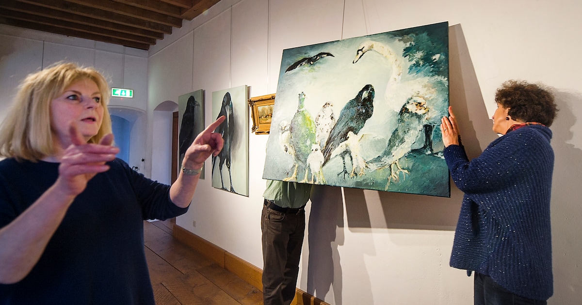 Naar de Talsmalaan? Dat ziet museum Veluwezoom niet zitten