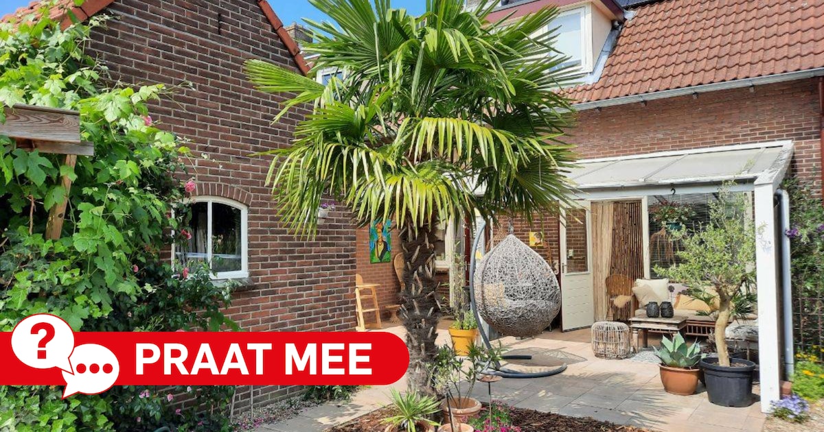 Dode planten en heel veel sproeien: pas jij de beplanting in je tuin aan na deze droge zomer?
