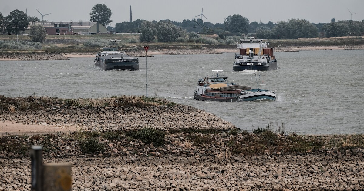 Alarm over effect klimaatverandering op Rijn: 50.000 extra vrachtwagens ...