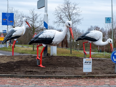 Blowups maakte ook deze flink uitvergrote ooievaars in Gennep.