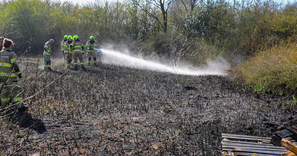 Flink stuk natuur gaat in vlammen op in Otterlo