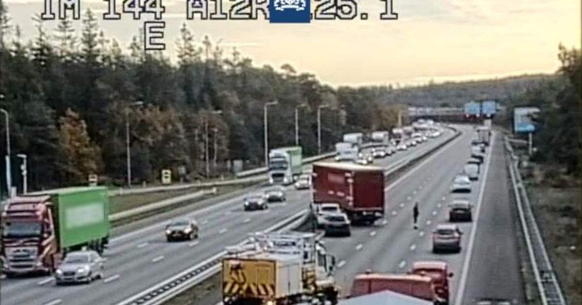Flinke file op de A12: ongeluk met vrachtwagen zorgt voor lange reistijd.