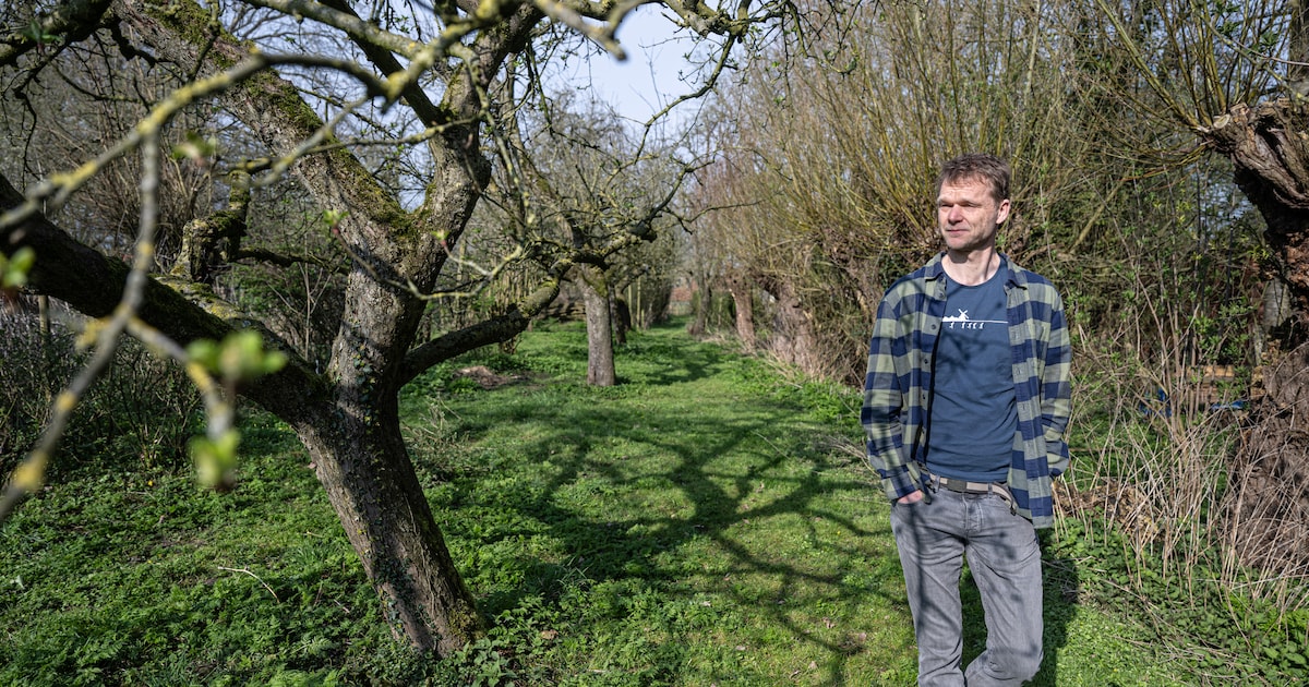 Jeroen wil een tuin vol planten en dieren, maar vindt 17 schadelijke stoffen: ‘Nederland ligt onder 