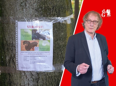 De lente is een prachtige tijd om even kwijt te zijn