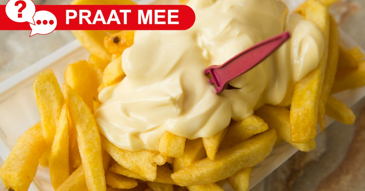 Lekker veel fastfood in Zeist? Of zie je liever iets anders in het straatbeeld verschijnen?