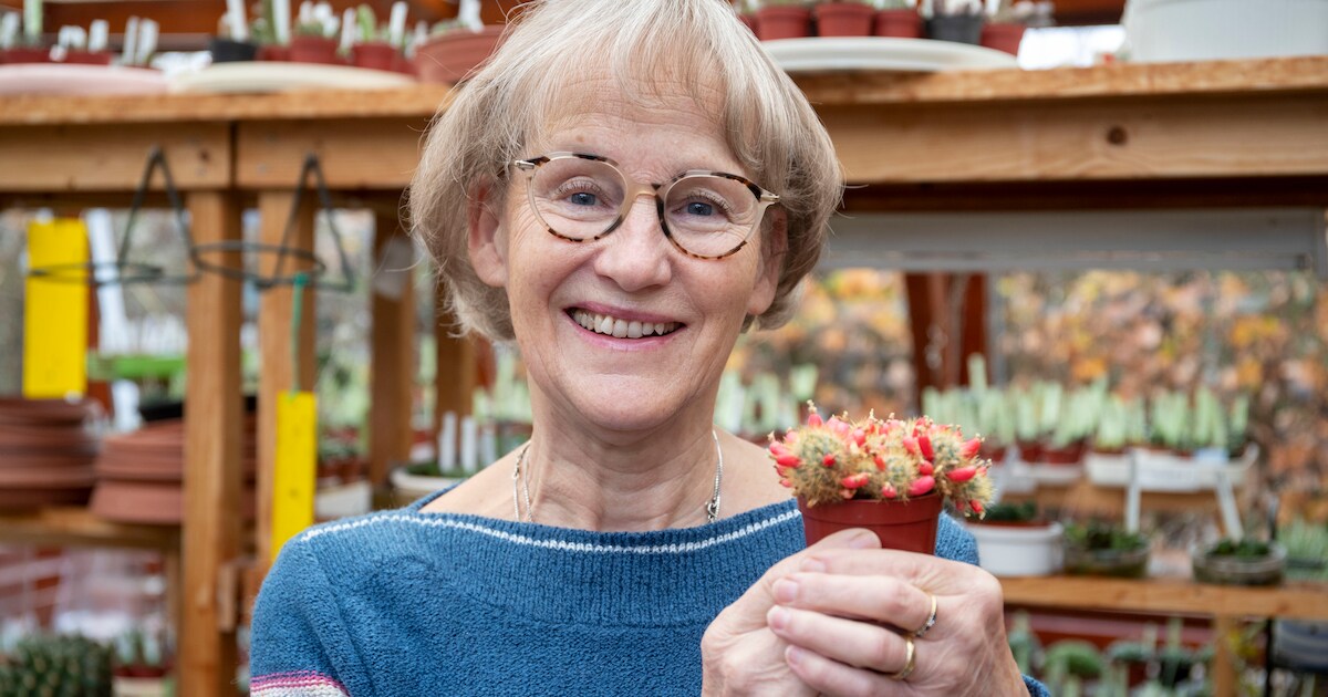 Annemieke begroet elke morgen haar cactussen en vetplanten: ‘Mijn ouders leven voort in dit leuke pl