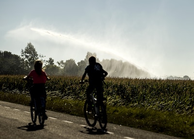 Watertekort dreigt ondanks regen van afgelopen week: meer blauwalg en vissterfte gemeld