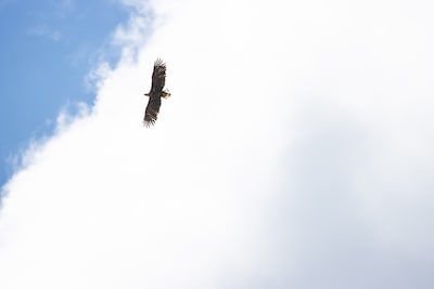 In zestien jaar zijn meer soorten erbij gekomen dan er zijn verdwenen