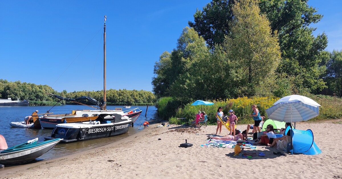Zwemmer springt van boot in water en raakt onwel in Hank, traumaheli en politieheli rukken uit