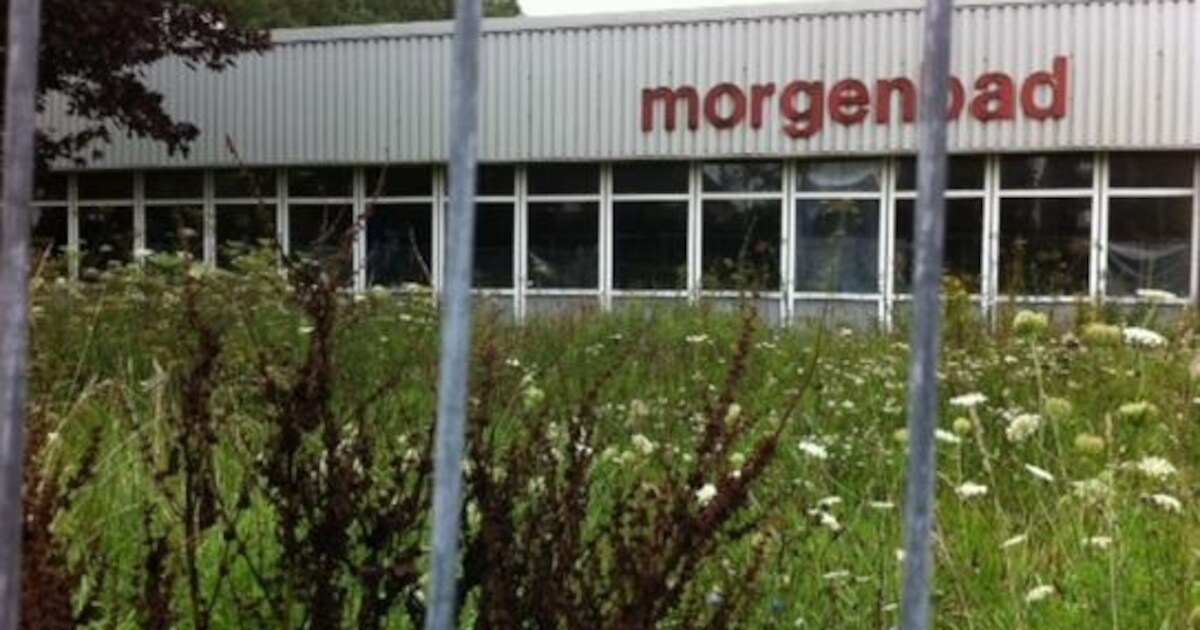 Iedereen zit in de maag met Morgenbad