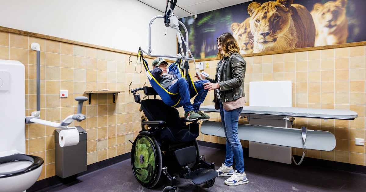 Deventer wil graag speciaal toilet met tillift in binnenstad voor mensen met ernstige beperking