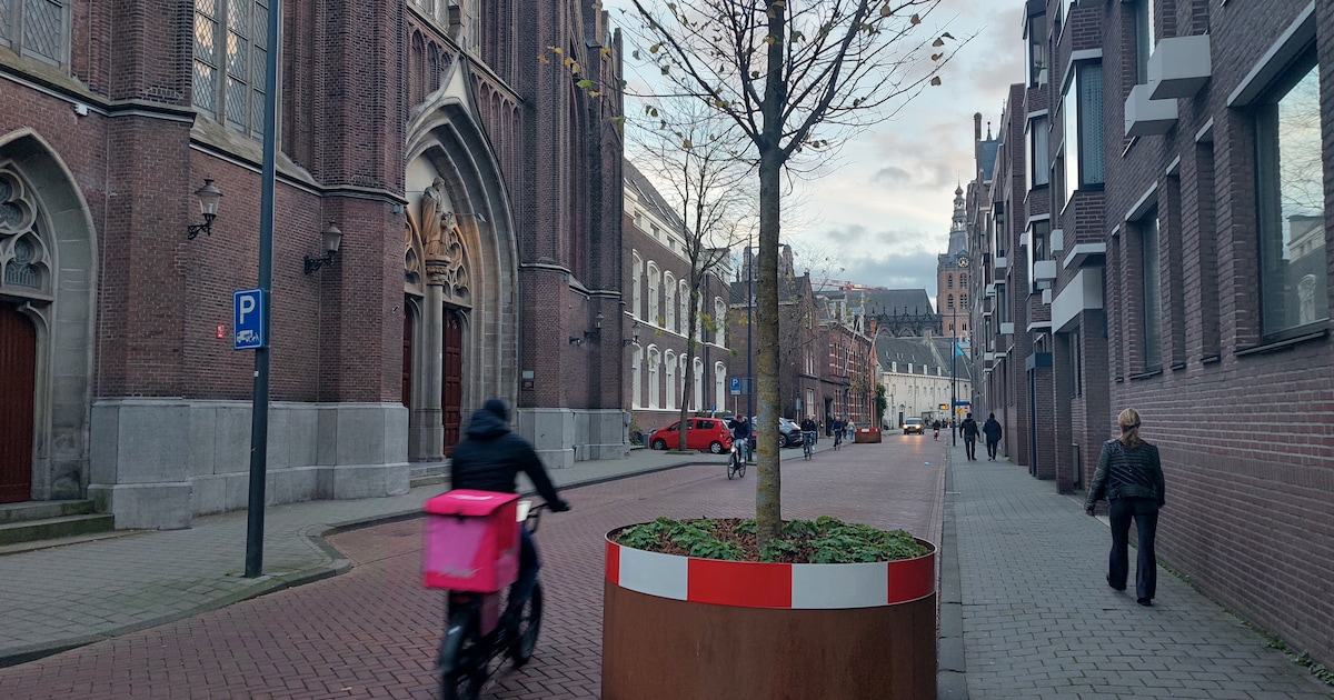 Culemborg plaatst boombakken als proef op Markt en Varkensmarkt