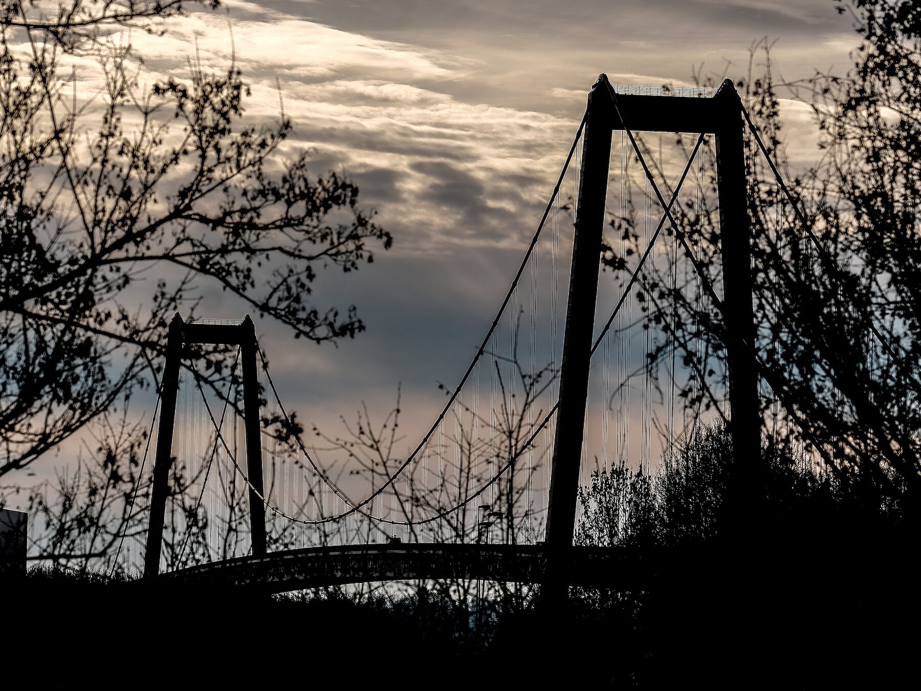 Rijnbrug bij Emmerik gaat weer open, maar wel met nieuwe regels