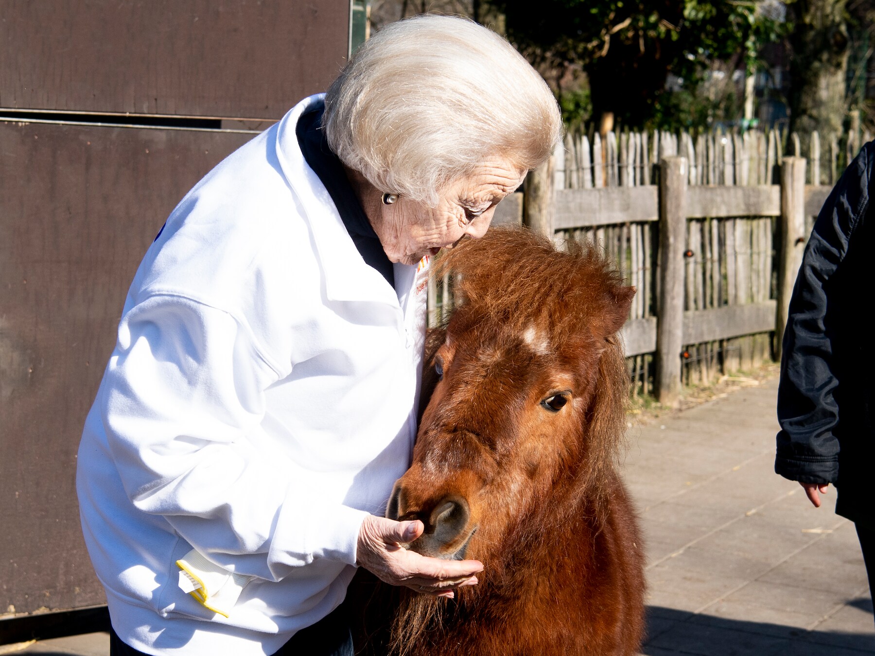 Prinses Beatrix helpt mee met een NLdoet-activiteit bij kinderboerderij De Schaapskooi.