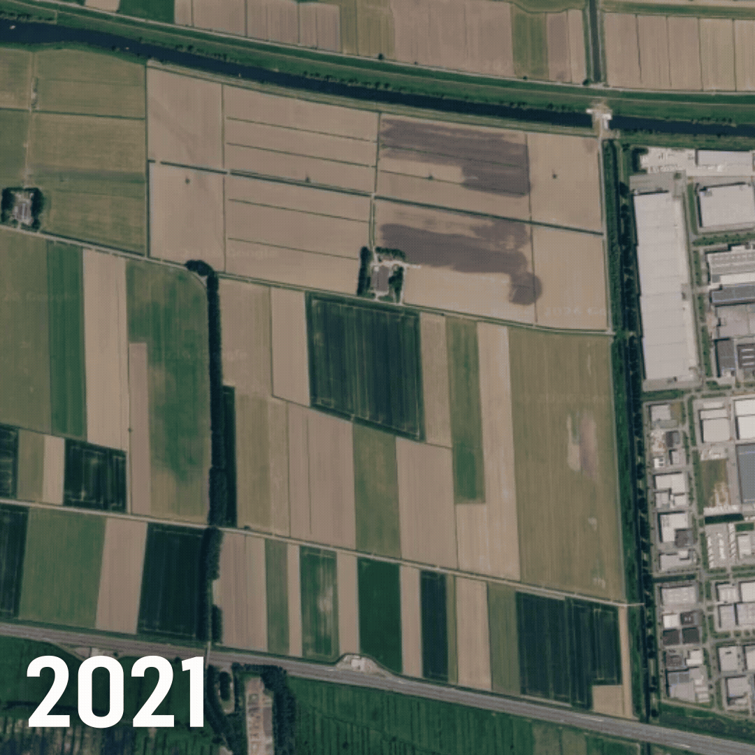 Geheimen, leugens en een slimme zakenman die er rijk van wordt: de schaduwkanten van een Waalwijks windpark