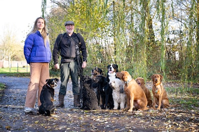 35 kilometer, 8 honden: Bob verloor zijn nichtje en wandelt nu van Nijmegen naar Veenendaal