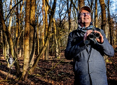 Wildspotten in Nederland, zo doe je dat: ‘Kijk daar, een vos! Net achter die rietkraag’