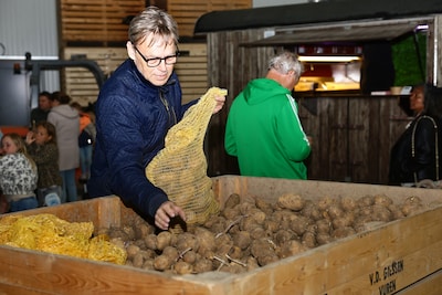 Boerderij verkoopt aardappels voor 30 cent per kilo: ‘Je kunt ze tot september bewaren’
