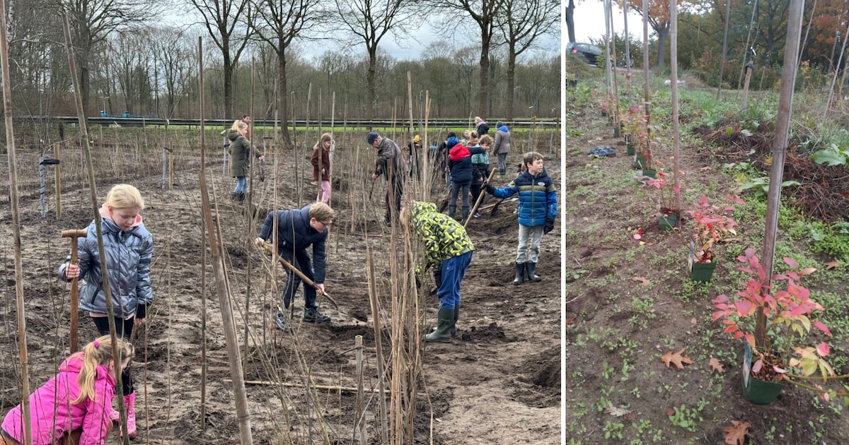 Voedselbos Bredevoort houdt voorlichtingsavond