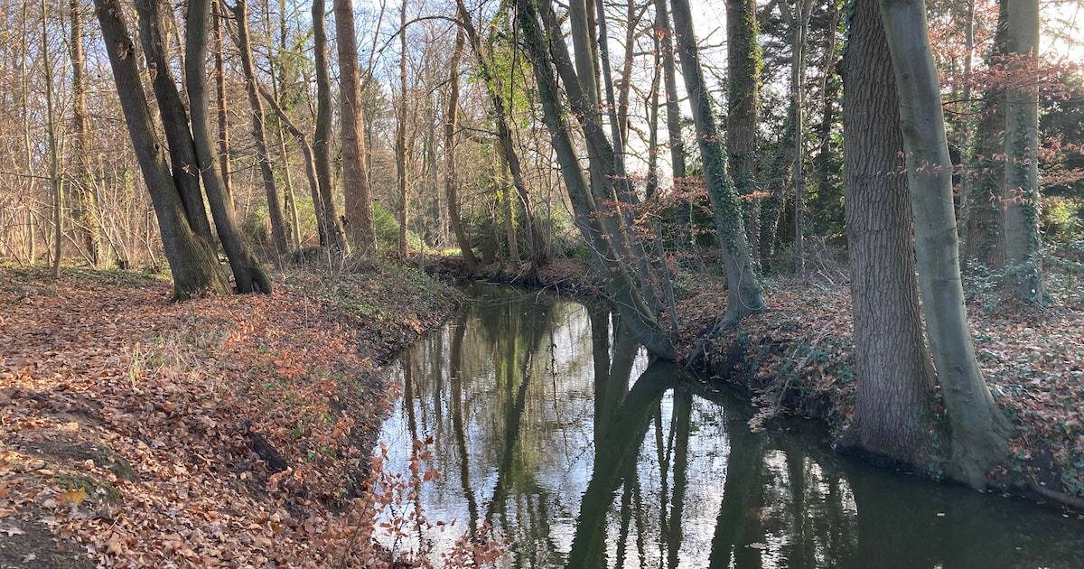 IVN neemt ‘doorstappers’ mee op natuurwandeling rond Eefde