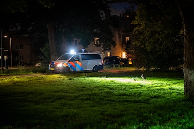 Opmerkelijk Burgernetbericht in Alphen: drie mara's ontsnapt uit Avifauna, politie rijdt met vangnetten door wijk