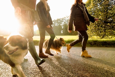 Montferlandtochten keert terug in 's-Heerenberg