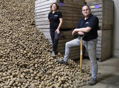 Ook al hebben telers dit jaar wel 500 miljoen kilo piepers over, patat blijft duur: ‘Snackbars hadden al ingekocht’