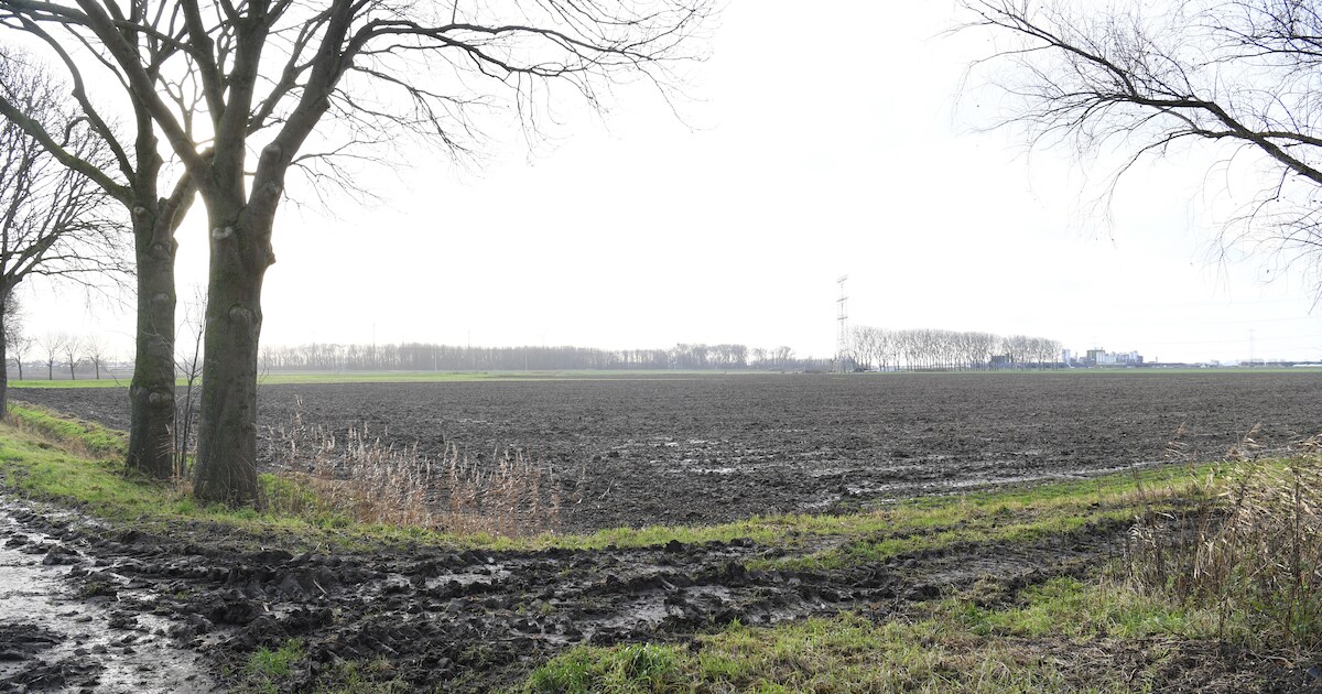 Van landbouwgrond naar natuurpark? Inwoners mogen meedenken over miljoenenproject in Raamsdonksveer